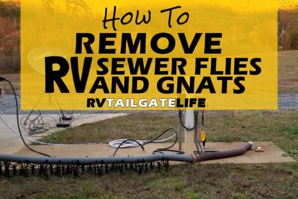 How to Get Rid of Sewer Flies in Rv