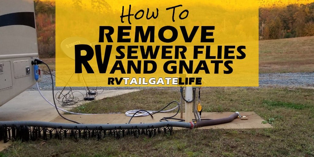 How to Get Rid of Sewer Flies in Rv